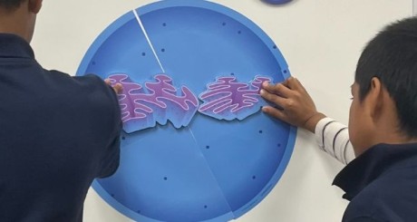 children working on science project